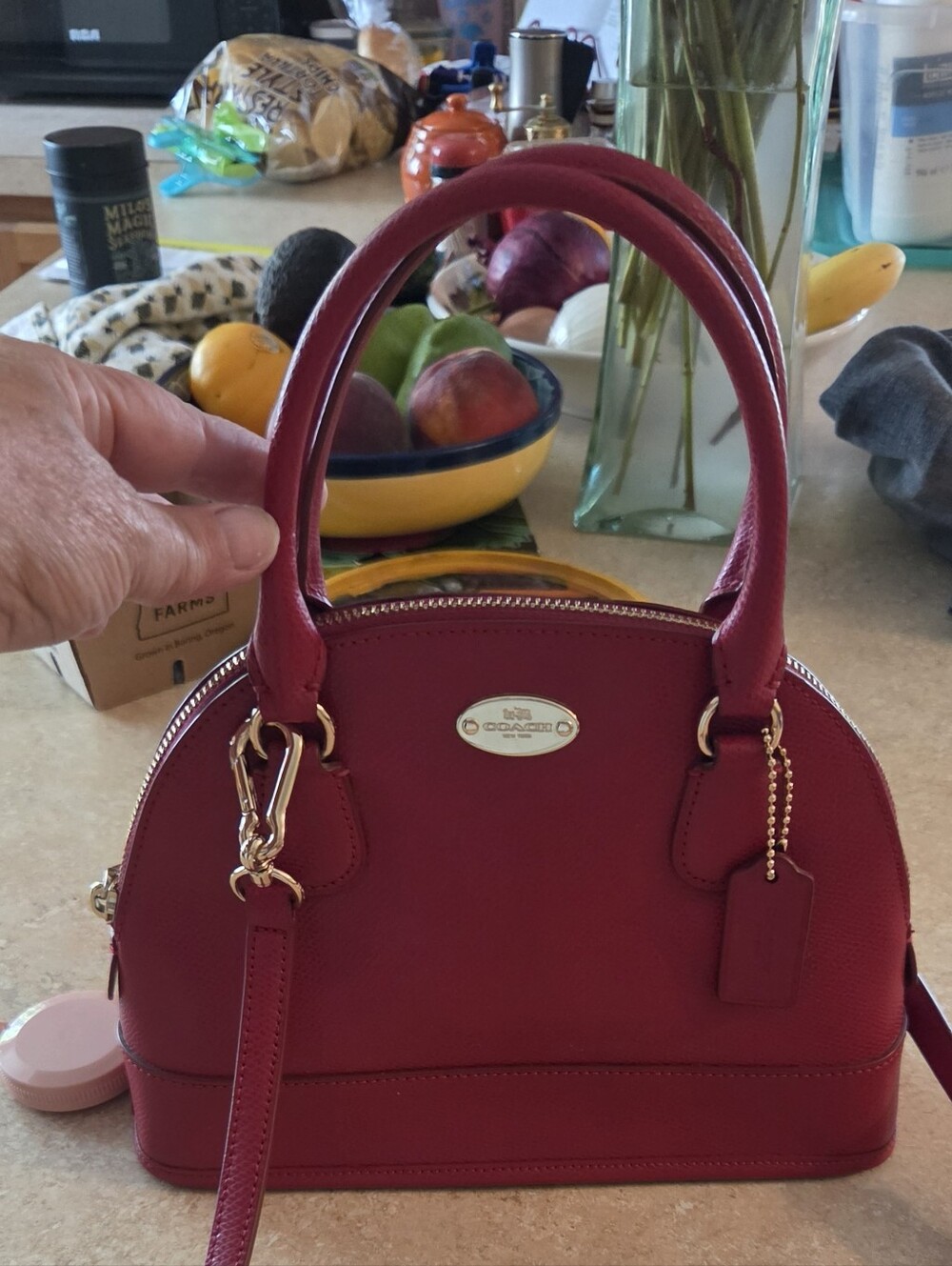 Coach Cora Mini Dome Satchel